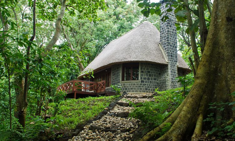Mikeno Lodge