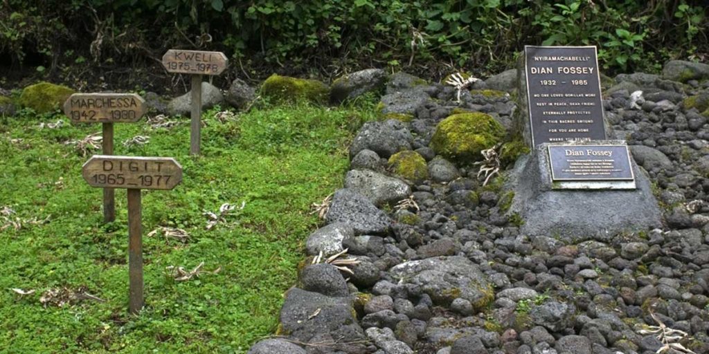Visiting Dian Fossey's Grave - Activities in Volcanoes National Park