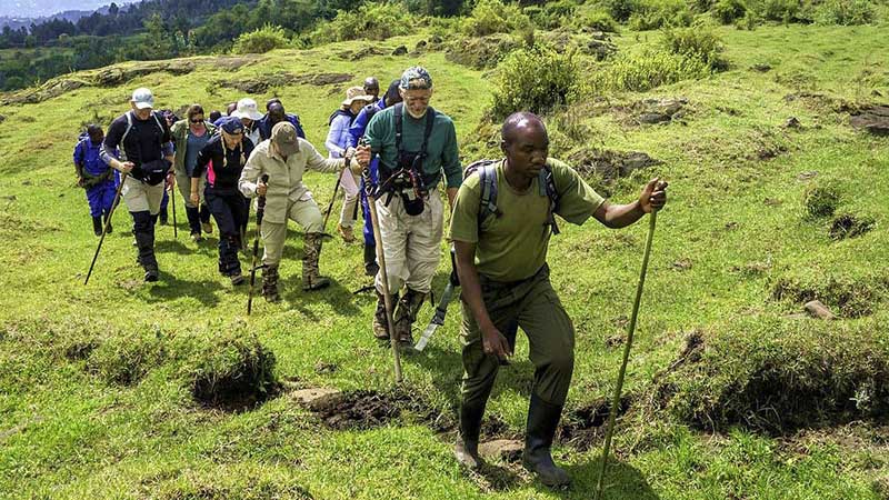 6 days mountaineering safari in Virunga national park and Volcanoes national park