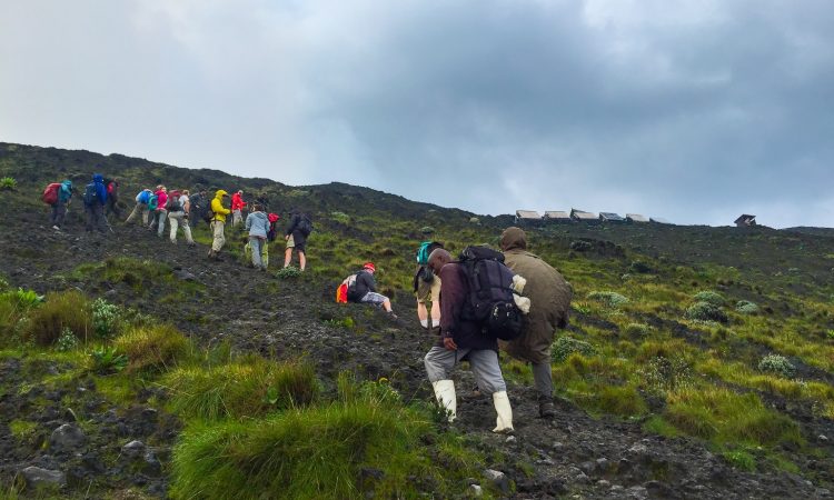 6 days mountaineering safari in Virunga national park and Volcanoes national park