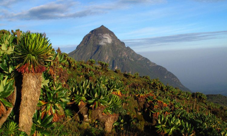 The 8 Virunga Volcano Mountains