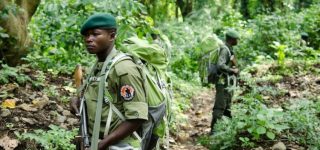 Safety of Virunga National Park